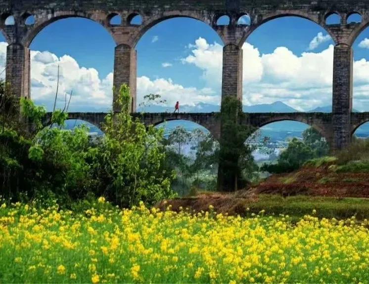 永川仙龙油菜花基地,仙龙油菜花节