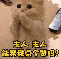 金毛犬最近吐怎么回事,金毛犬拉肚子呕吐怎么了