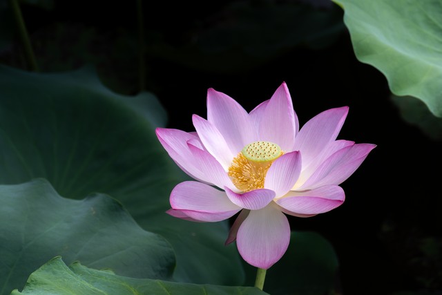 淋浴器里面的水脏不脏,用了20年的电淋浴器