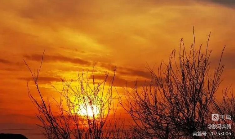 老干部对联,老干部对联大全