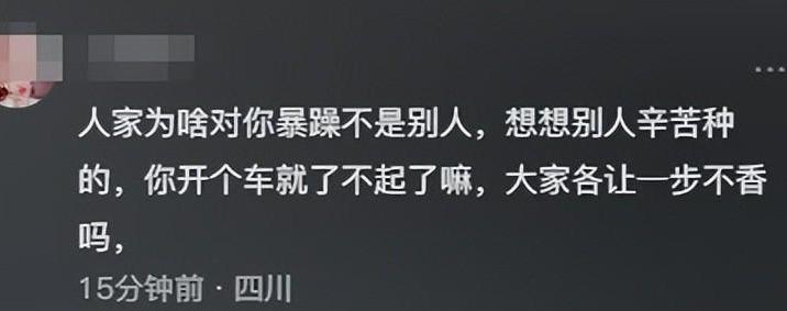 大妈砸车，对奔驰车后视镜的”下死手
