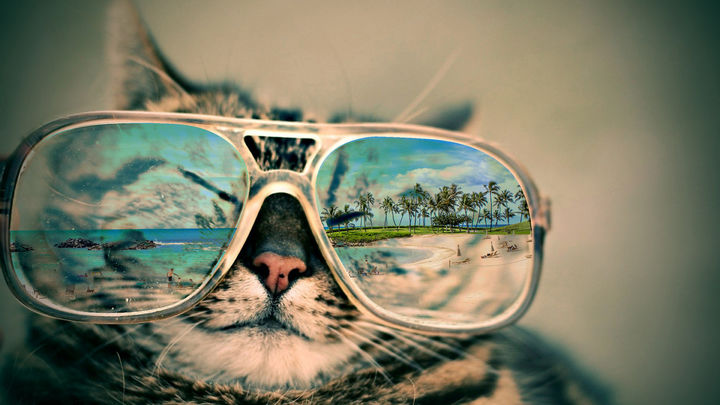 十年品牌眼镜,教你一分钟选对自己适合的眼镜