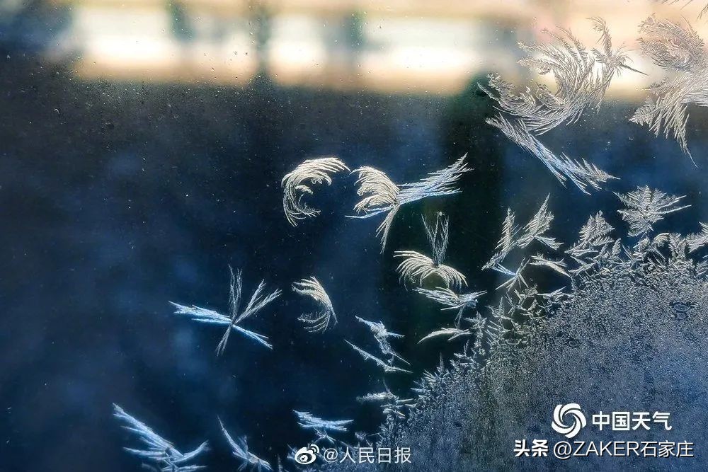 早新闻11.12|石家庄正太饭店对外开放；供暖初期，“暖心贴士”请收好；一图看懂进一步优化防控的二十条举措