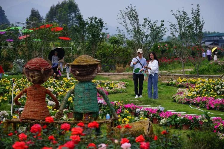 广西旅游攻略天洞,广西旅游攻略大明山