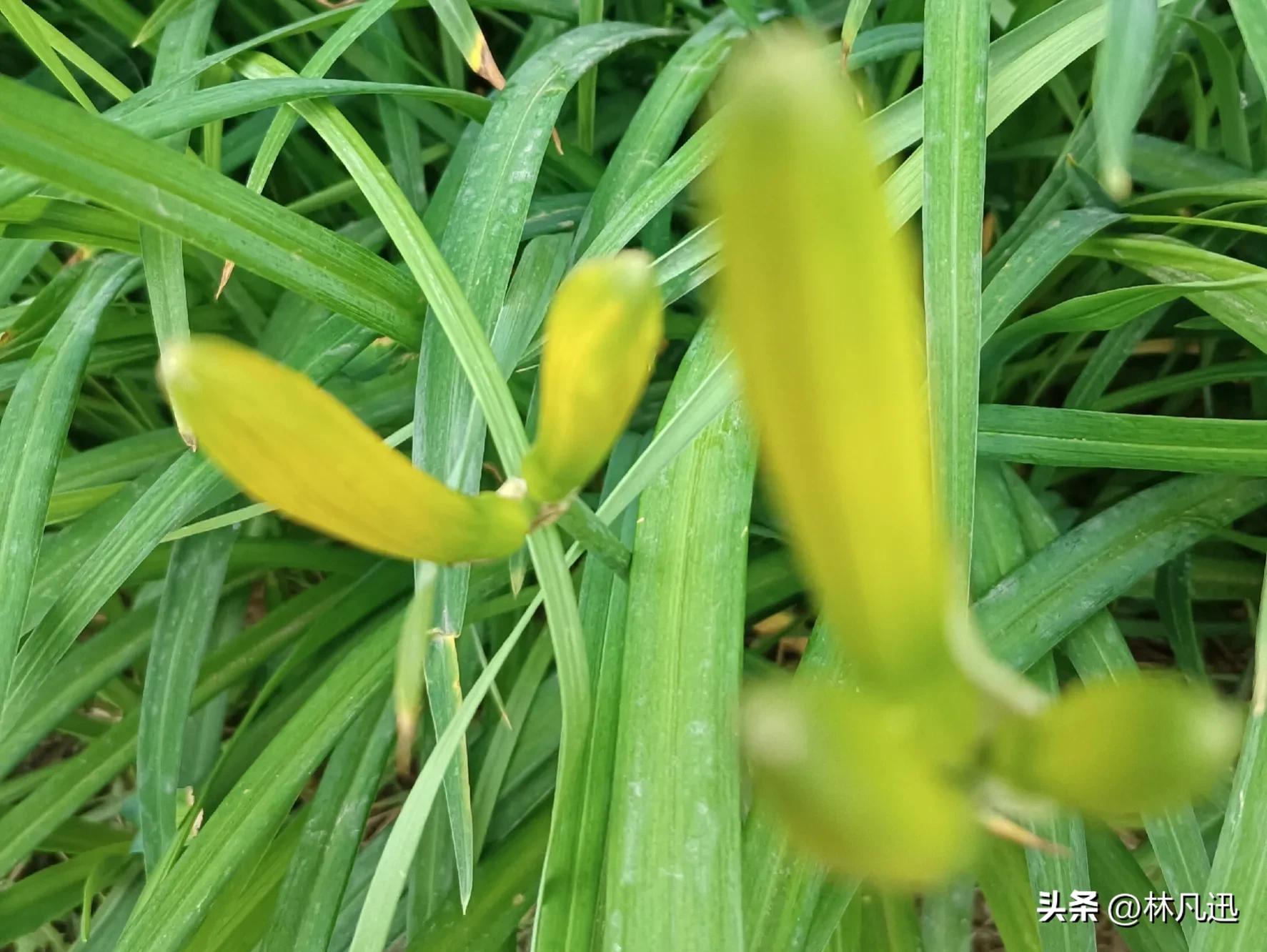 基金份额净值精度,基金份额随净值变动吗