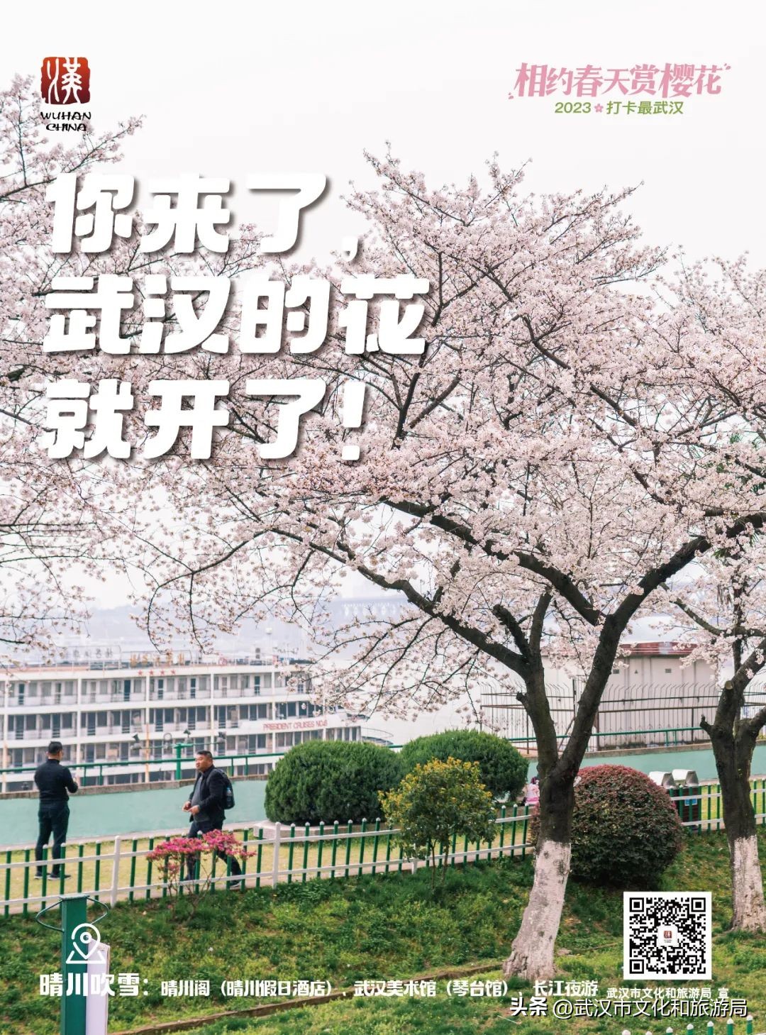 武大云赏樱预约通道,2024年武大赏樱怎么预约