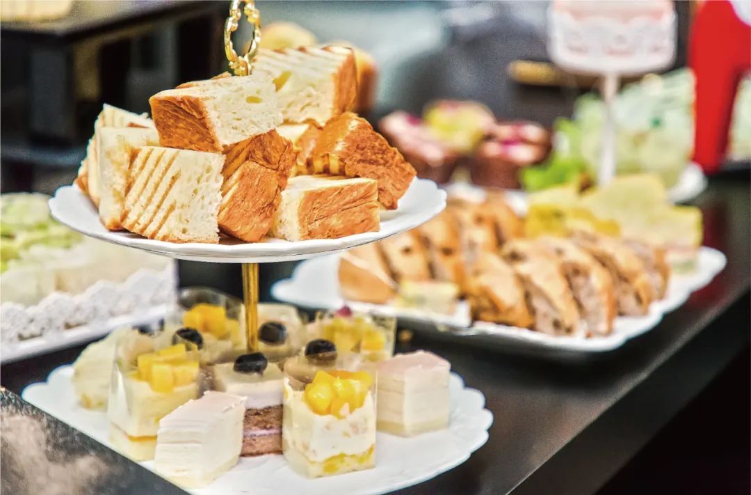 沈阳城市学院2023,沈阳城市学院2022年招多少人