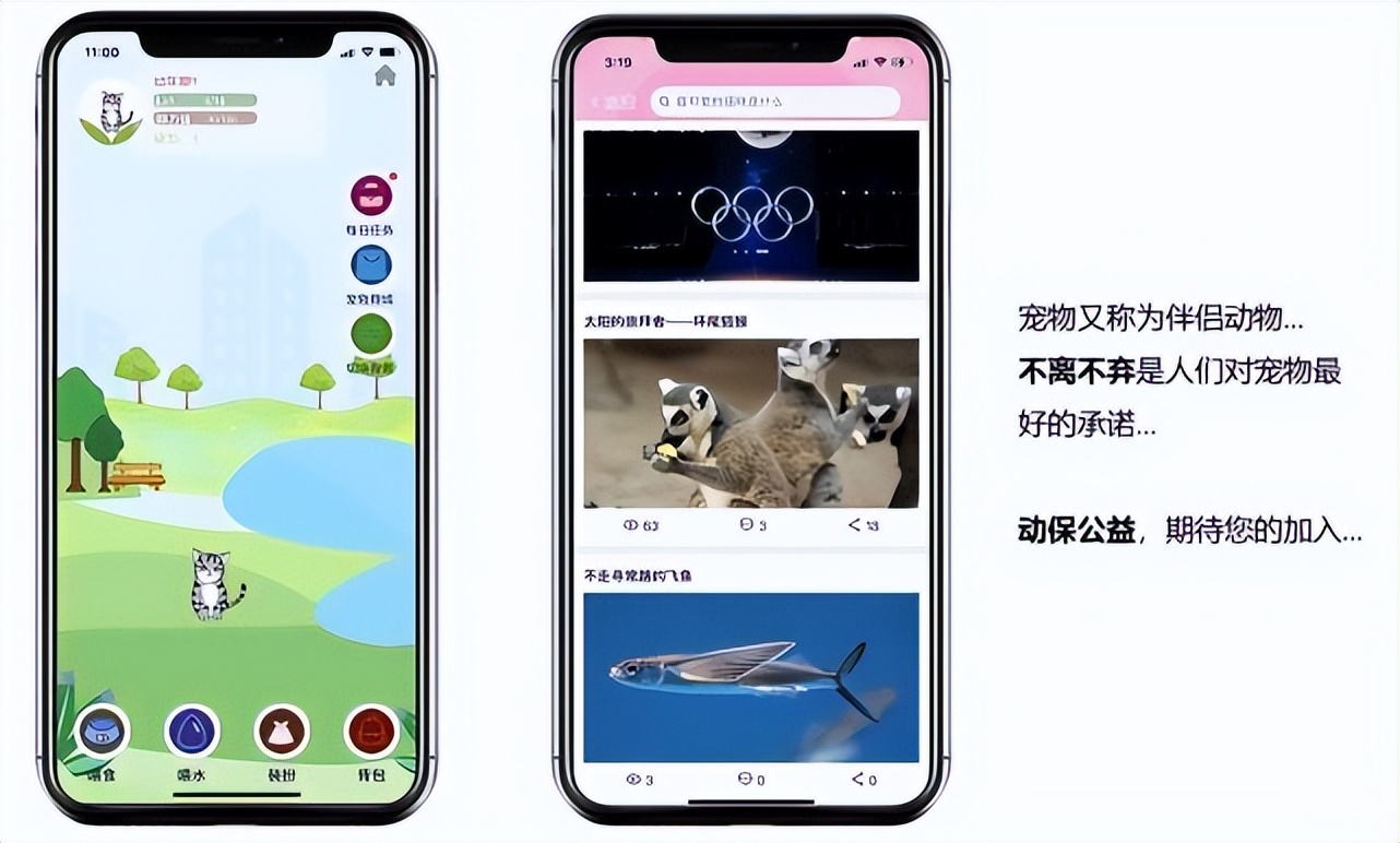 狗狗生宝宝需要注意些什么,狗狗生宝宝要注意些什么