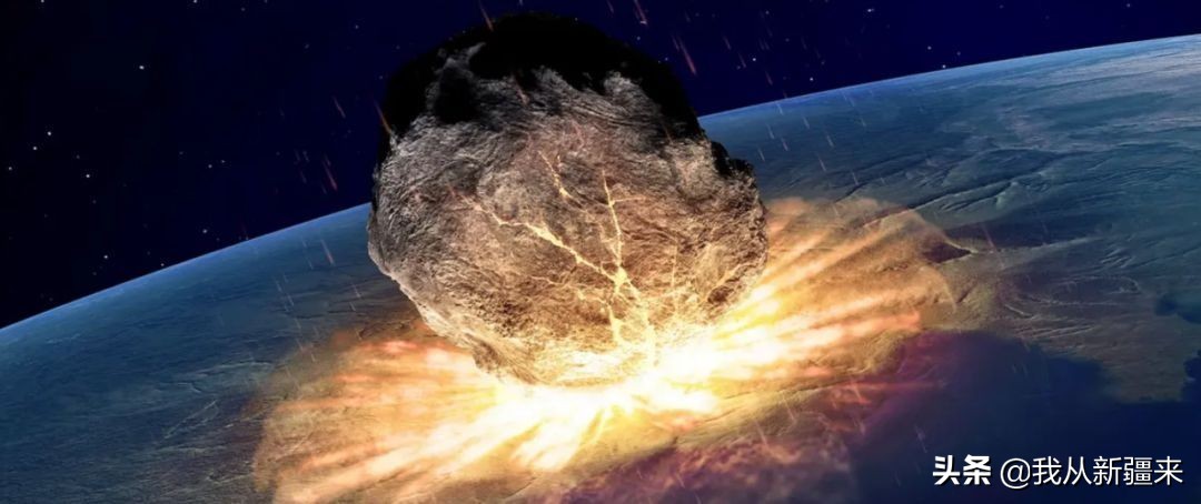 新疆哈密翼龙,天山哈密翼龙