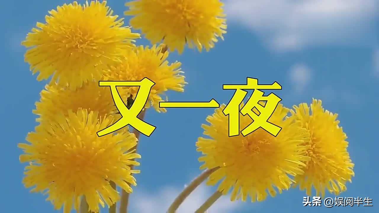 盘点歌词被改得面目全非的歌,盘点那些歌词恶心的歌曲