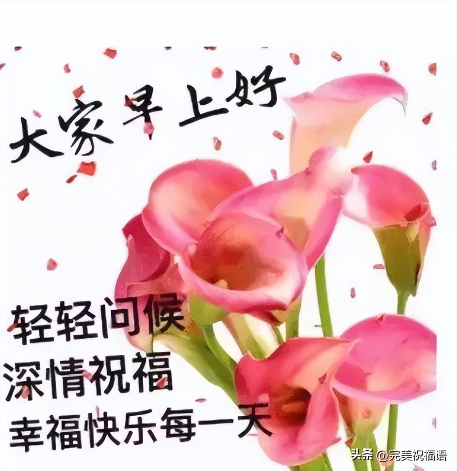 早上好图片大全最美温馨表情,新的一年早上好表情图