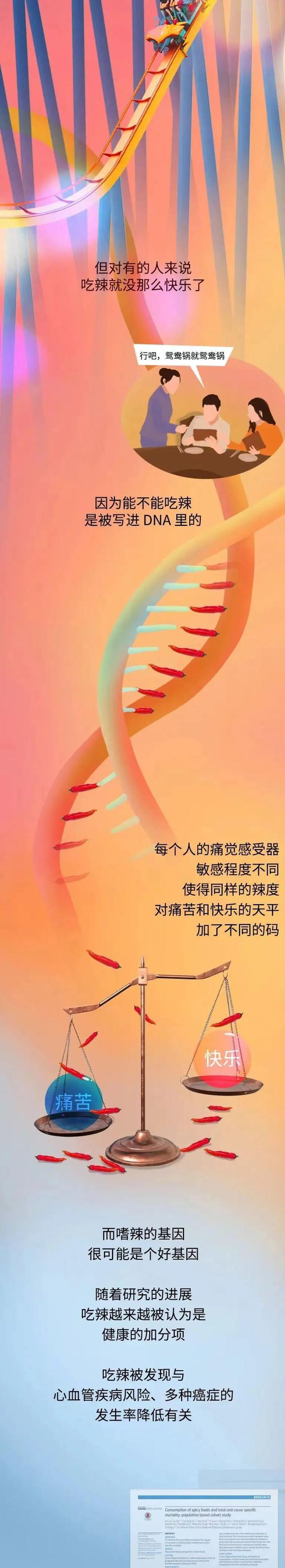 经常吃辣的人，身体会怎么样？漫画解析，爱吃辣的人来看看吧