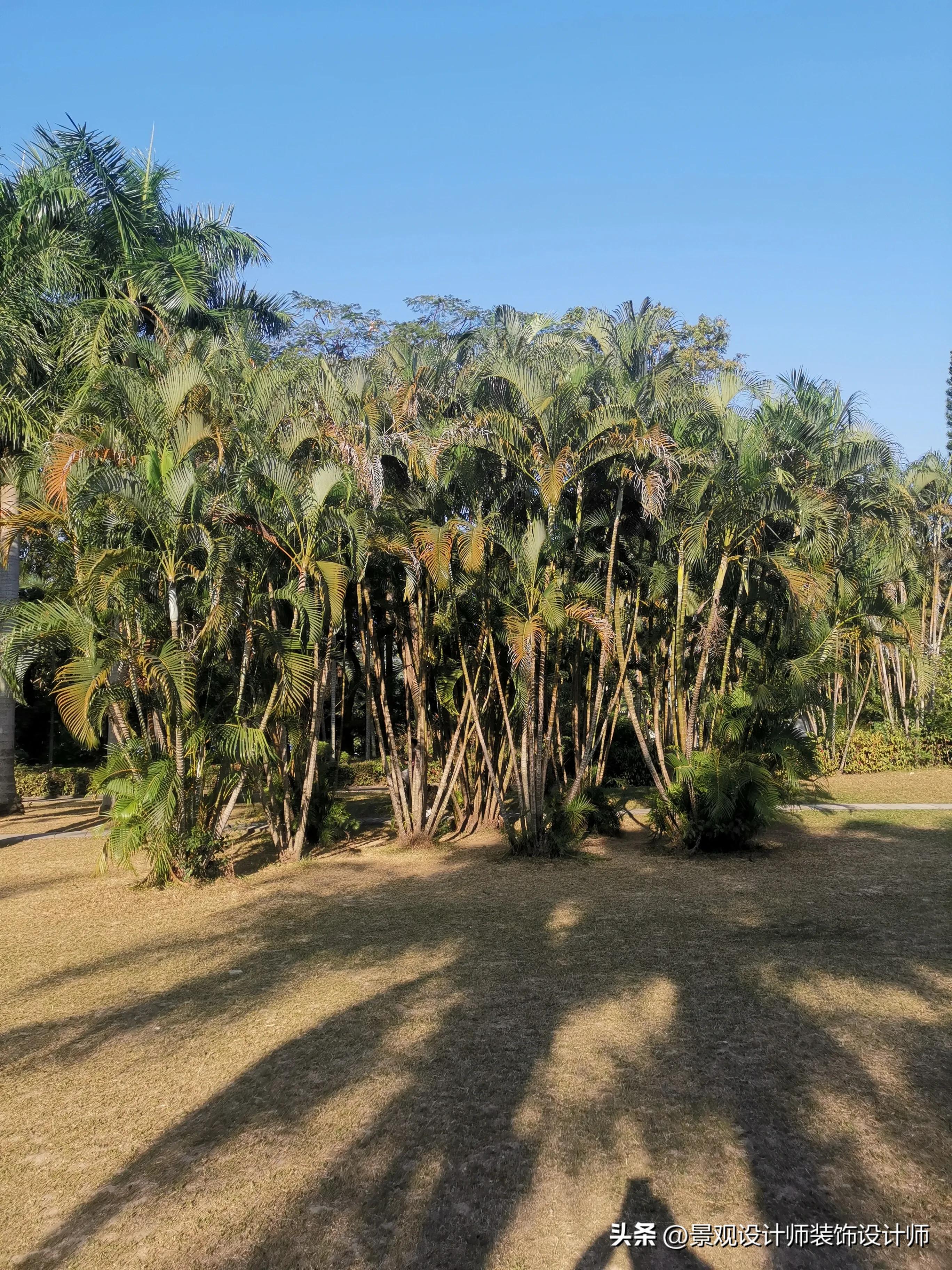 深圳市东湖公园收费标准,深圳市东湖公园宾馆