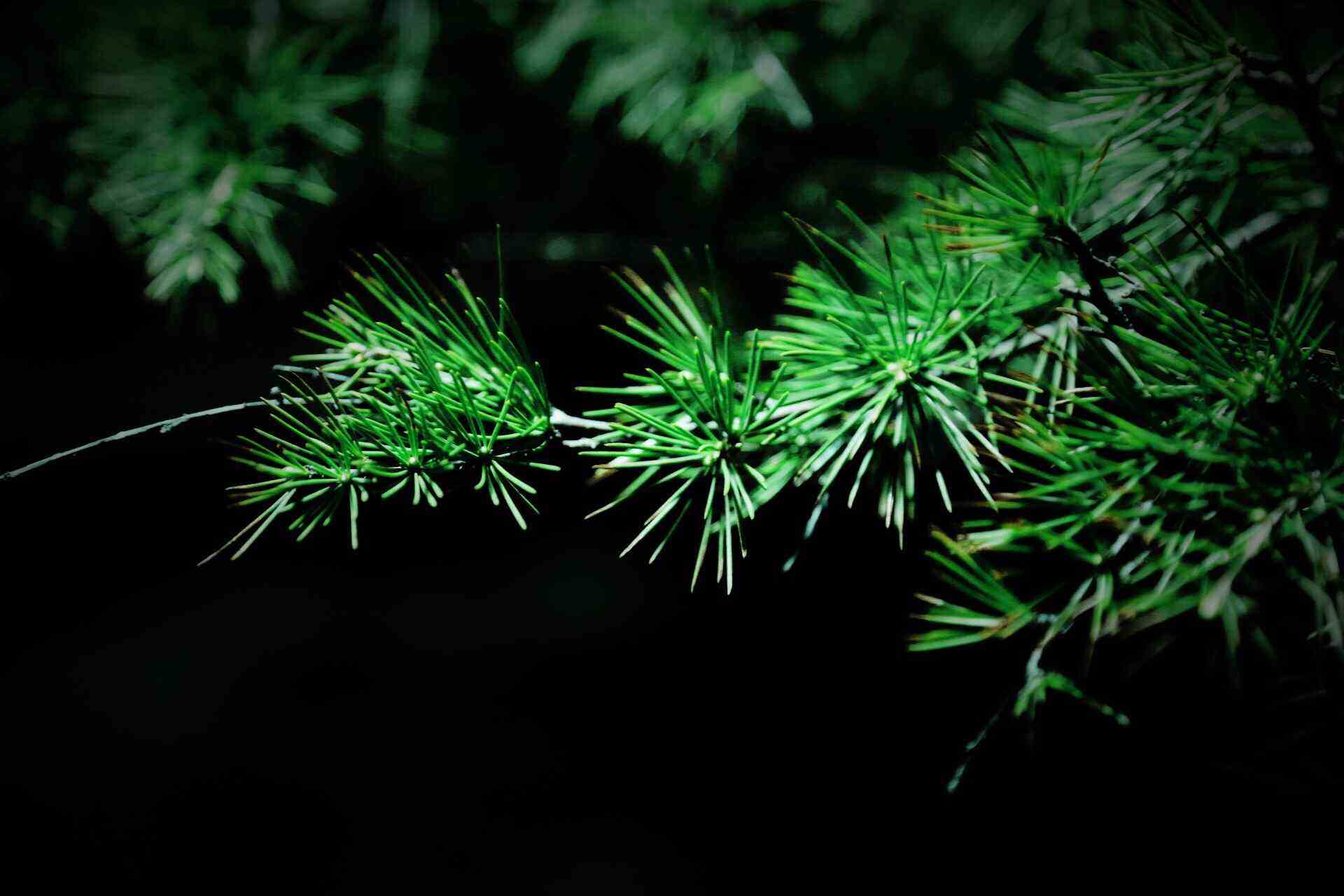 关于人生相遇的古诗词,关于不期而遇的古诗词