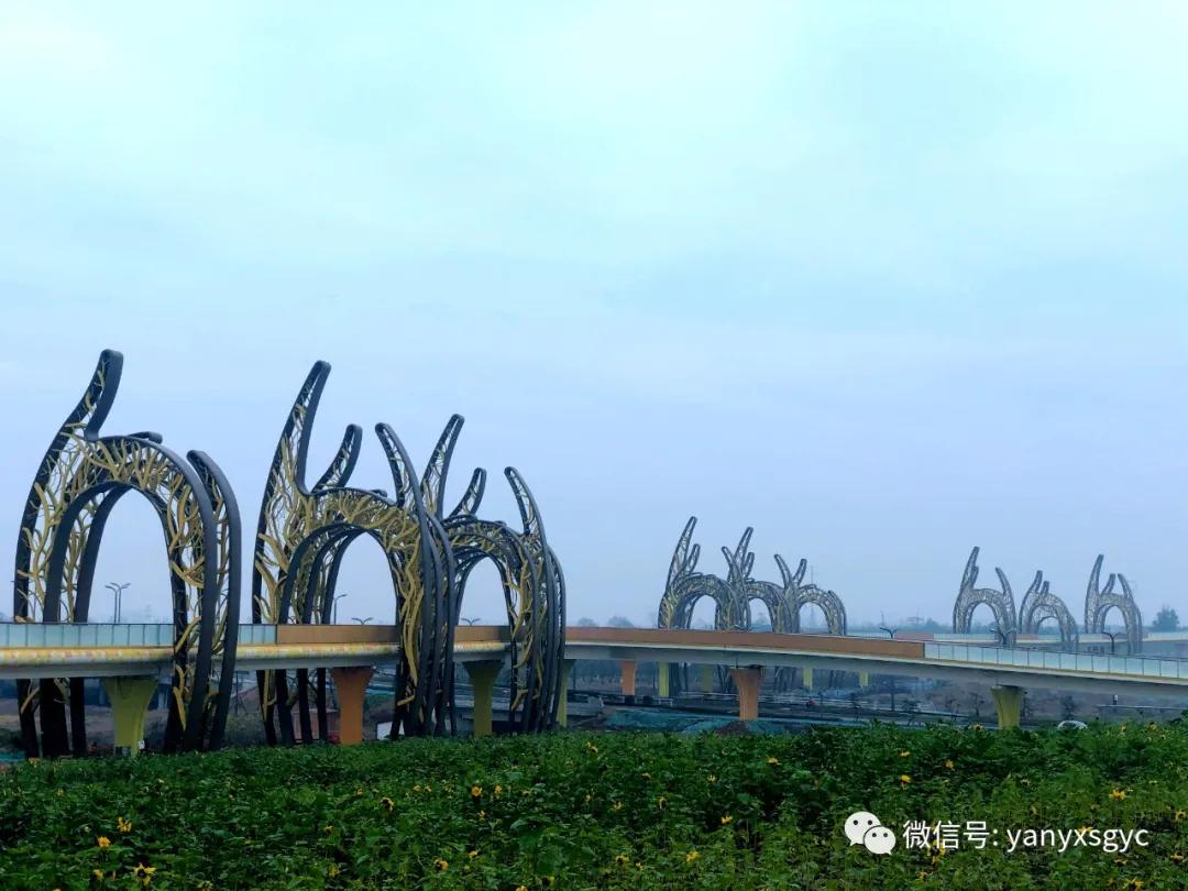 成安渝银杏大桥,成都银杏桥