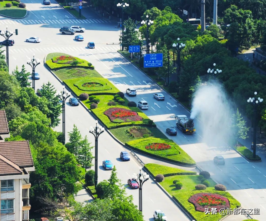 如果城市有颜色重庆,如果城市有颜色作文