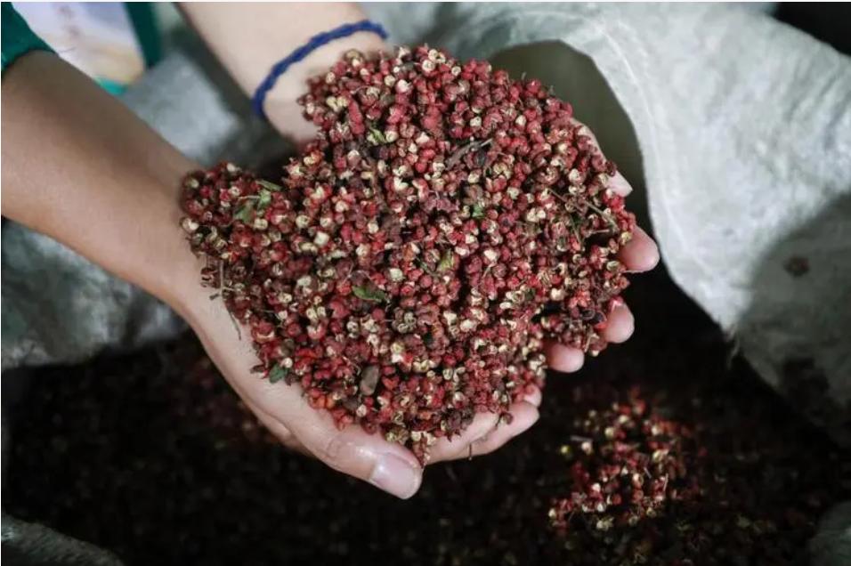 太欺负人了!食堂里有7两花椒“过期了”，罚款6.5万元!