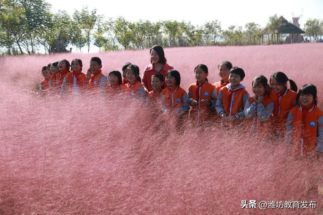 新闻周播报完整版,周播报抖音