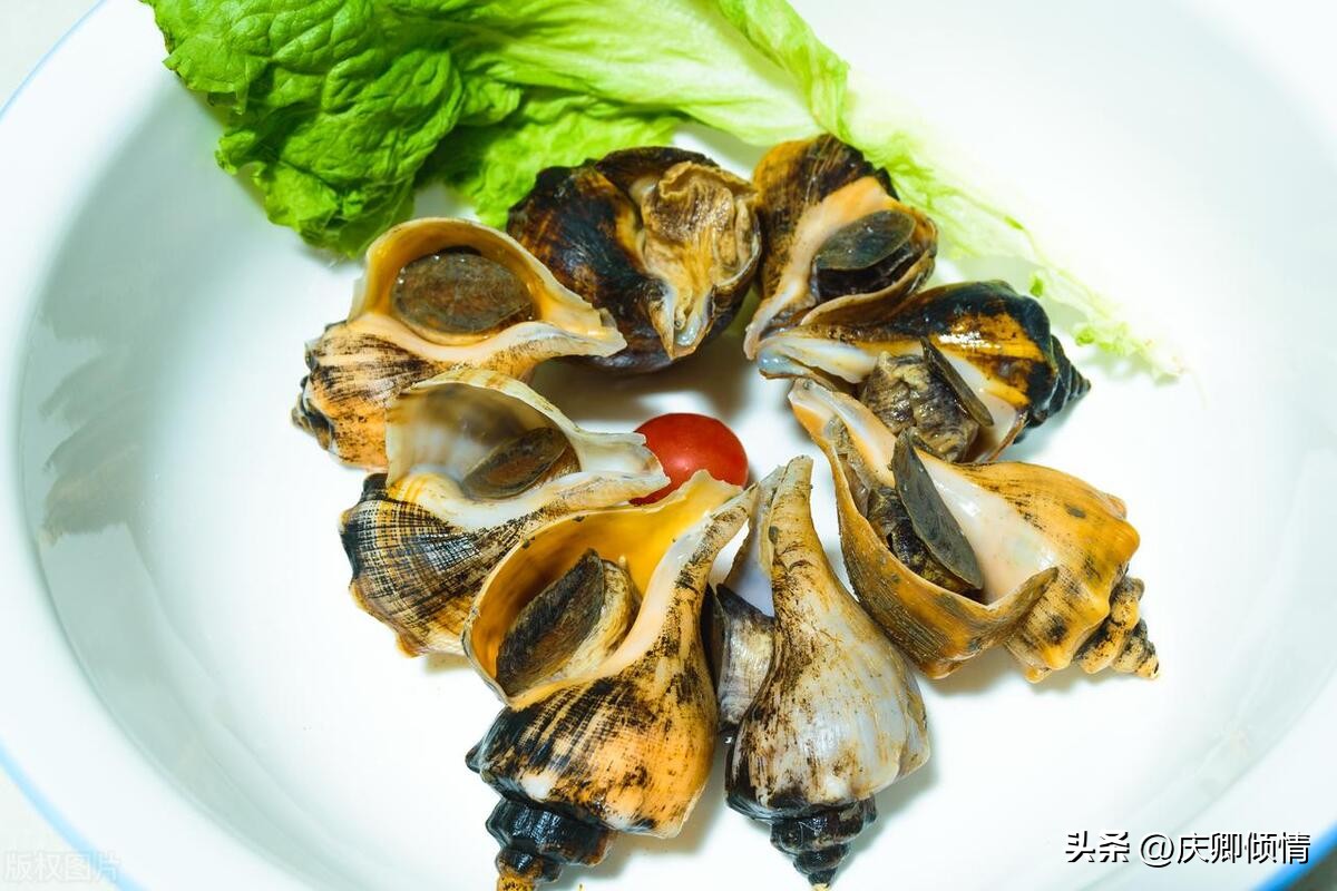 长春到山东旅游的最佳路线,广州到山东自驾旅游最佳路线