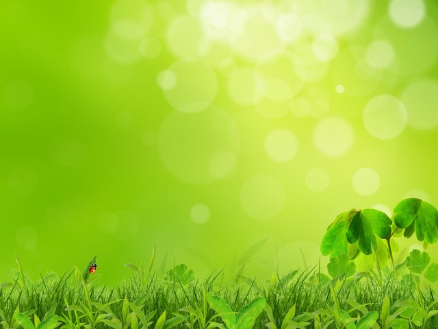 女人结婚前一定要跟男人做的事,女人结婚前要跟你做什么