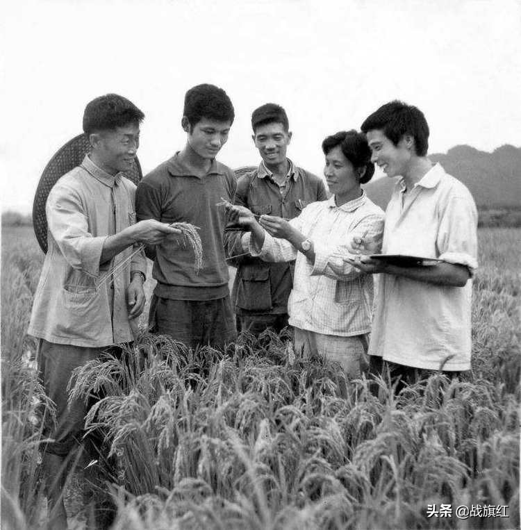 学生连换了新连长，一天3包烟，司务长证实：连长买烟，半箱起步