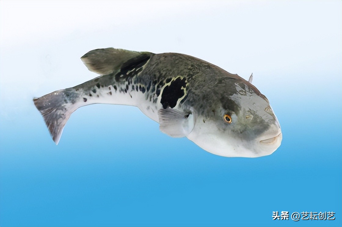 全国地理标志农产品目录系列之——辽宁省（二）