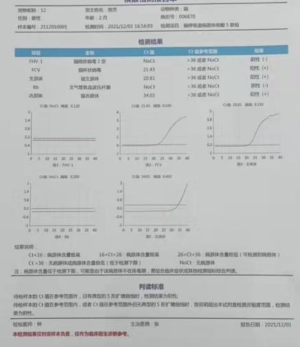 宠物医生，幼猫不到2个月两只眼睛都溃烂了，怎么办？