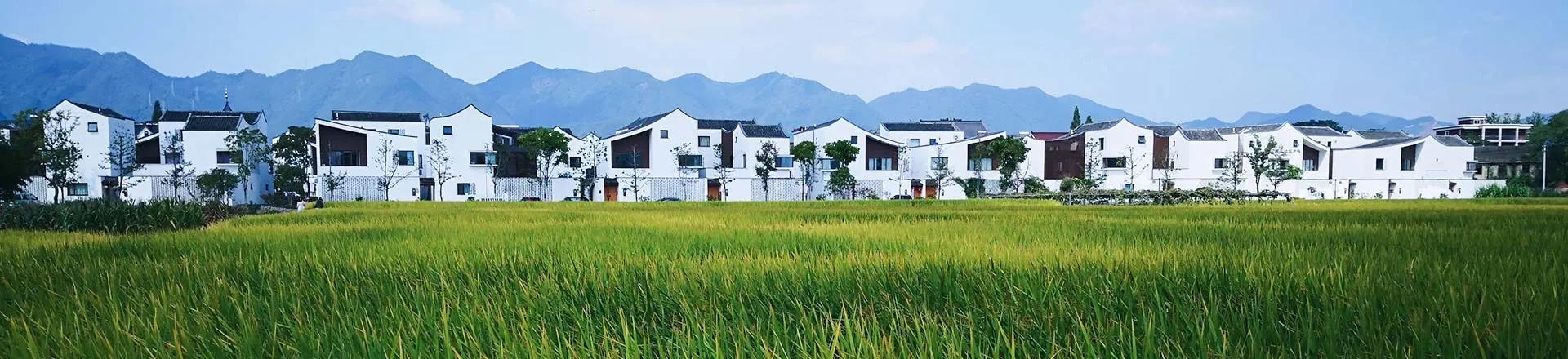 村庄规划编制有什么用,村庄规划编制原则有哪些