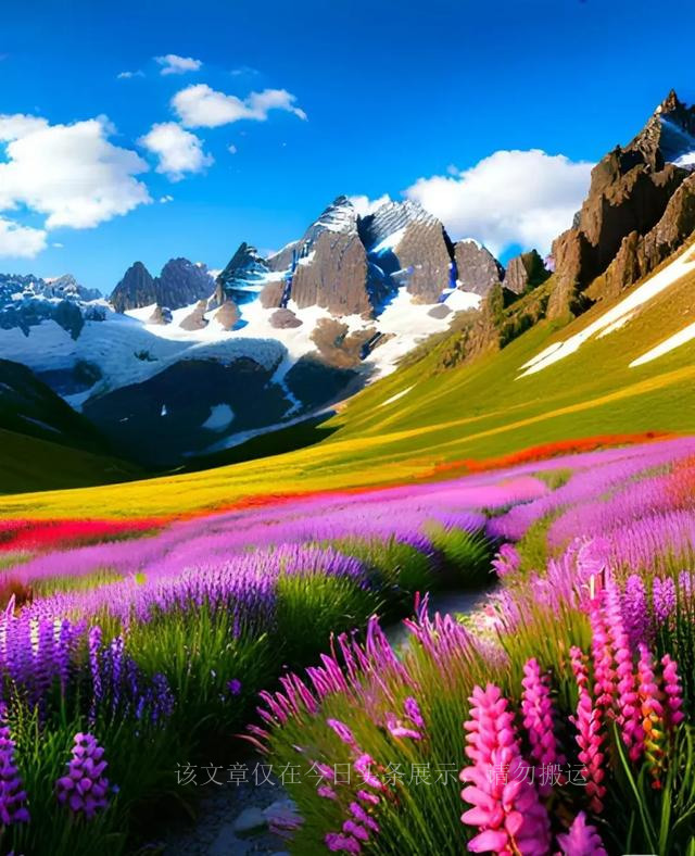 不同类型的人的心态特点,心态好的人都具备这四种品德图