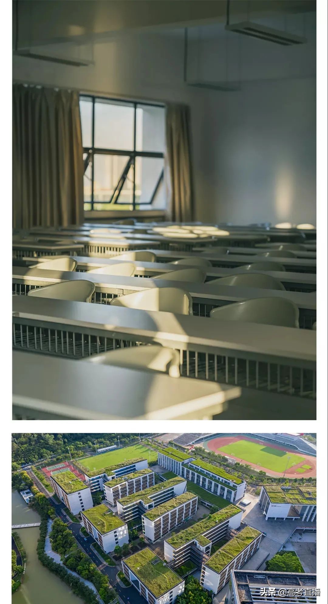 深职全国专科排名,2021广东公办专科学校排名