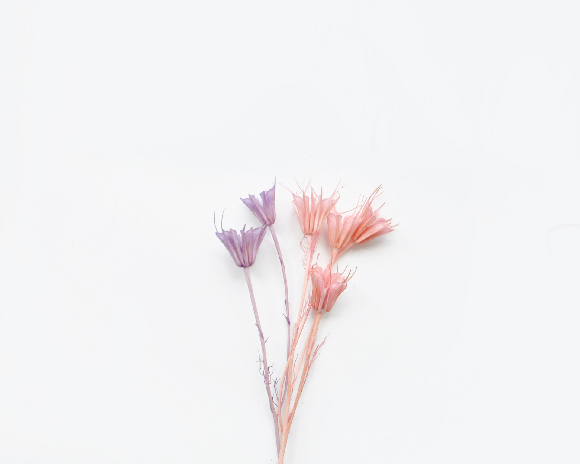 人到中年不要和兄弟姐妹走的太近,人到中年兄弟姐妹不宜多来往