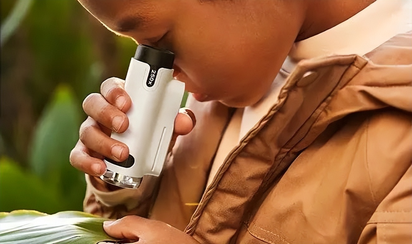 儿童探索放大镜多少倍合适,家长应不应该给孩子买显微镜