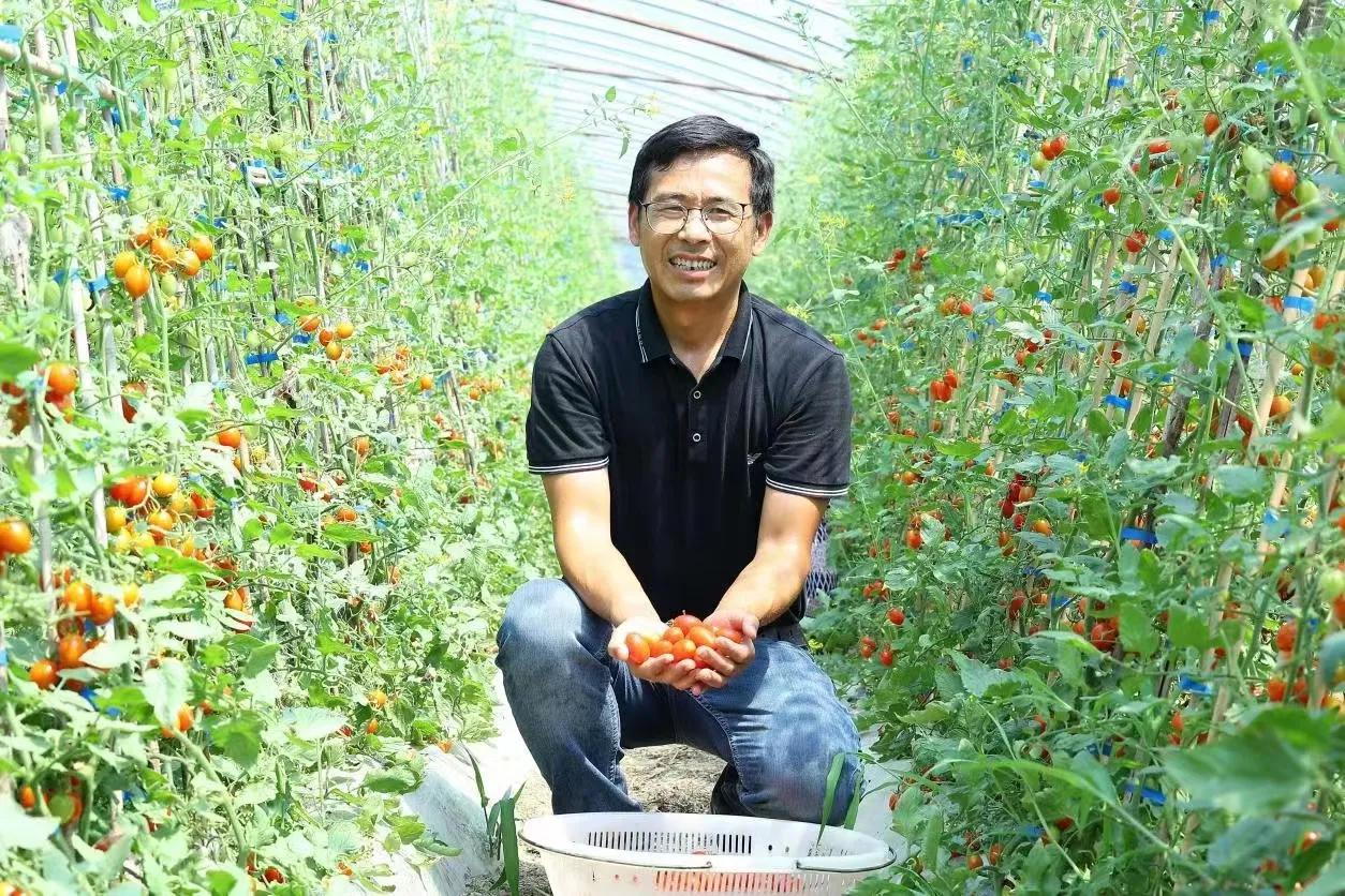 南京市高淳区新时代农人——荀新富：跨界创业“种”出美好新生活