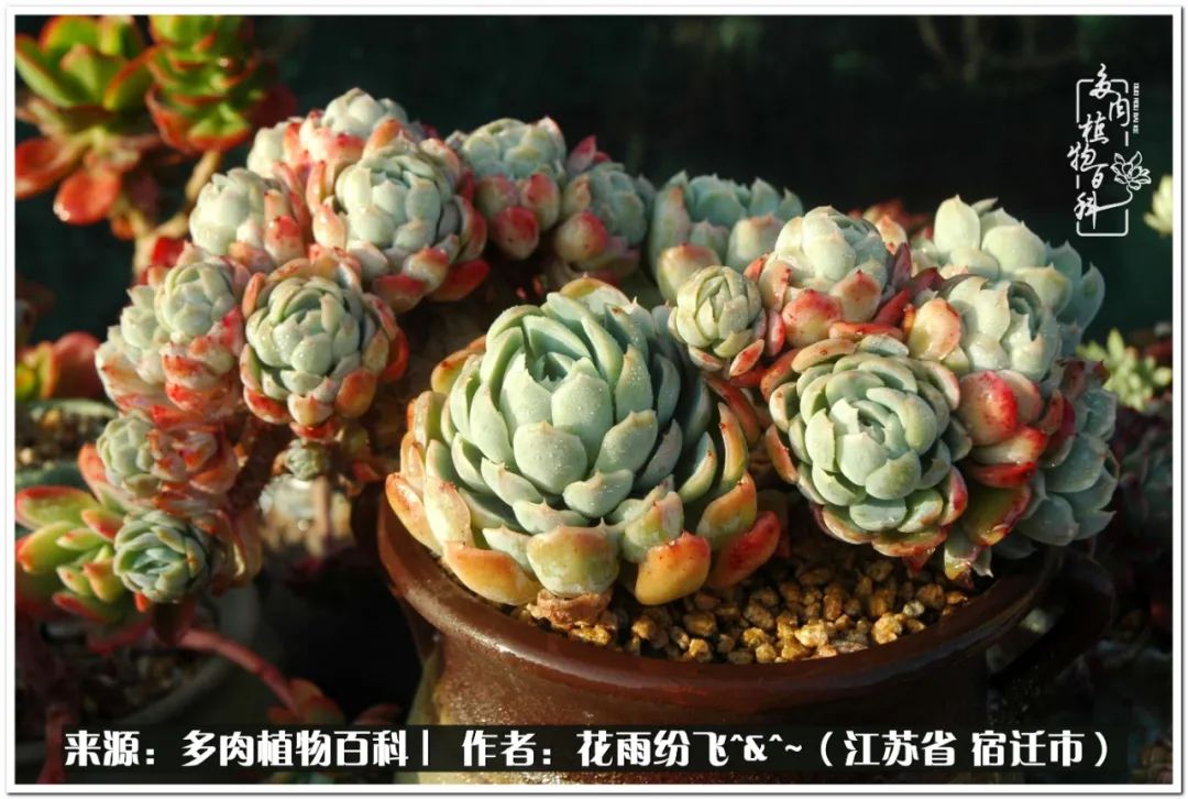 快乐的童年时光视频,回味快乐的童年美好的时光