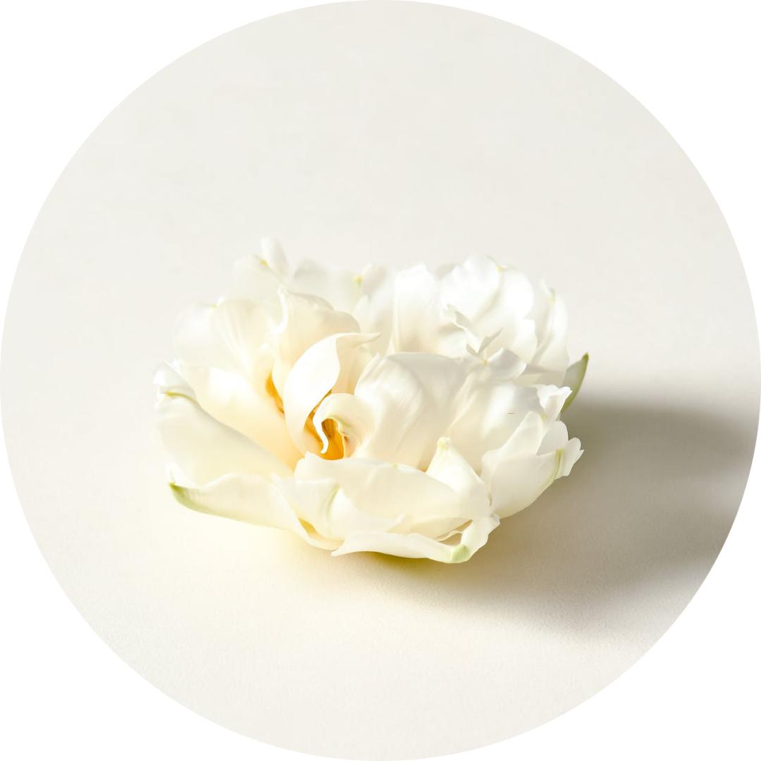 十倍光学变焦欧菲光,欧菲光10倍变焦