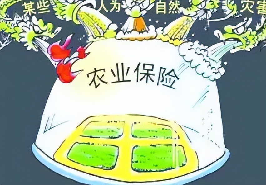 政策性农业保险怎么样,完善政策性农业保险机制