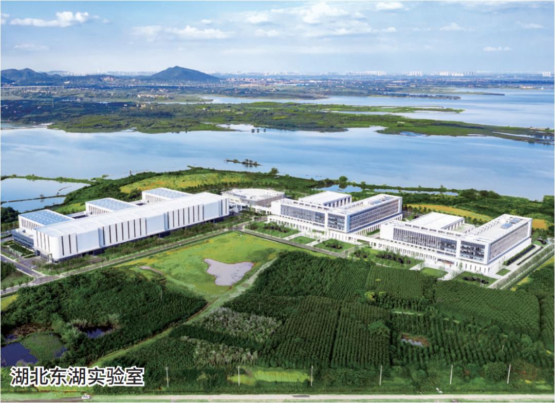 中信杨书平,中信环境董事长杨书平