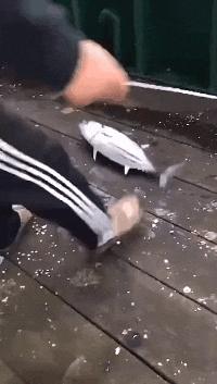 外卖差评快乐源泉,外卖差评内容全是好评