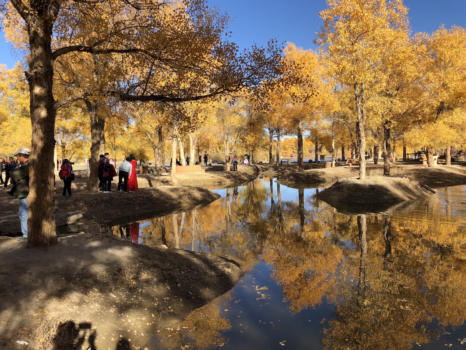 北京自驾额济纳胡杨林十天攻略,从北京到额济纳胡杨林线路