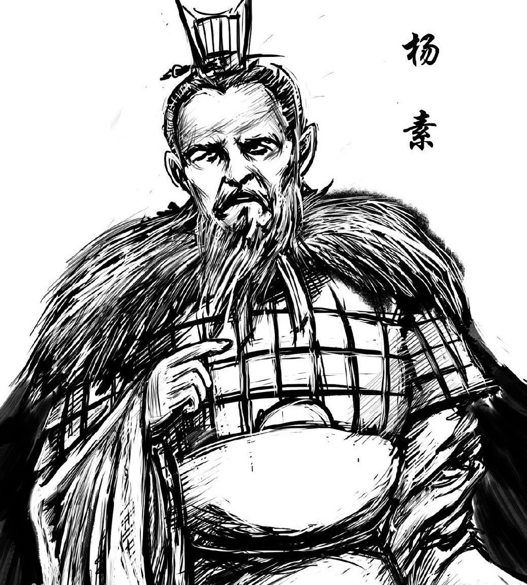 隋唐历史上真实的杨素,历史上的杨素简介