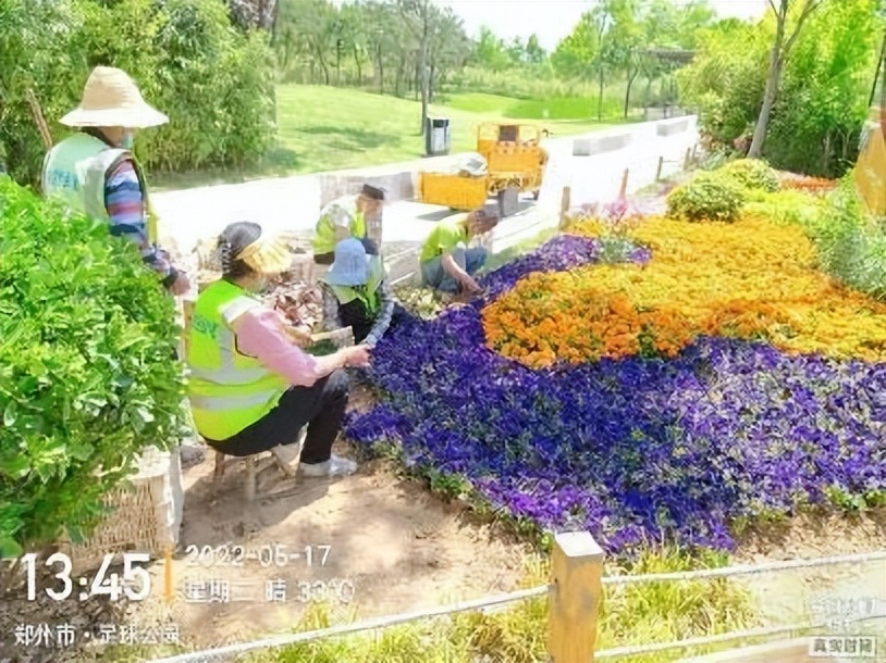 12月份园林绿化养护工作重点,元月份园林养护重点工作