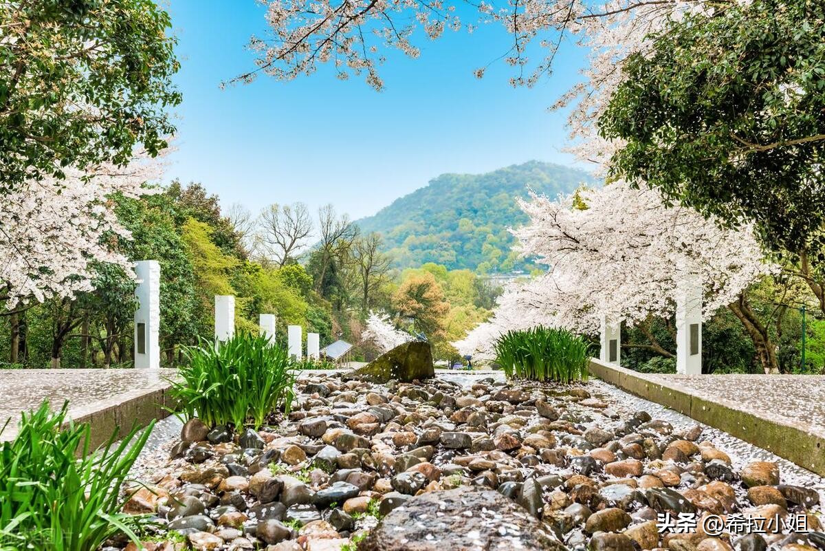 杭州新西湖十景更适合游览哪一景,杭州西湖新十景游玩攻略