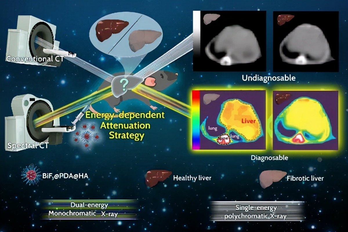 复旦大学最尖端的科研成果,复旦团队发表研究成果