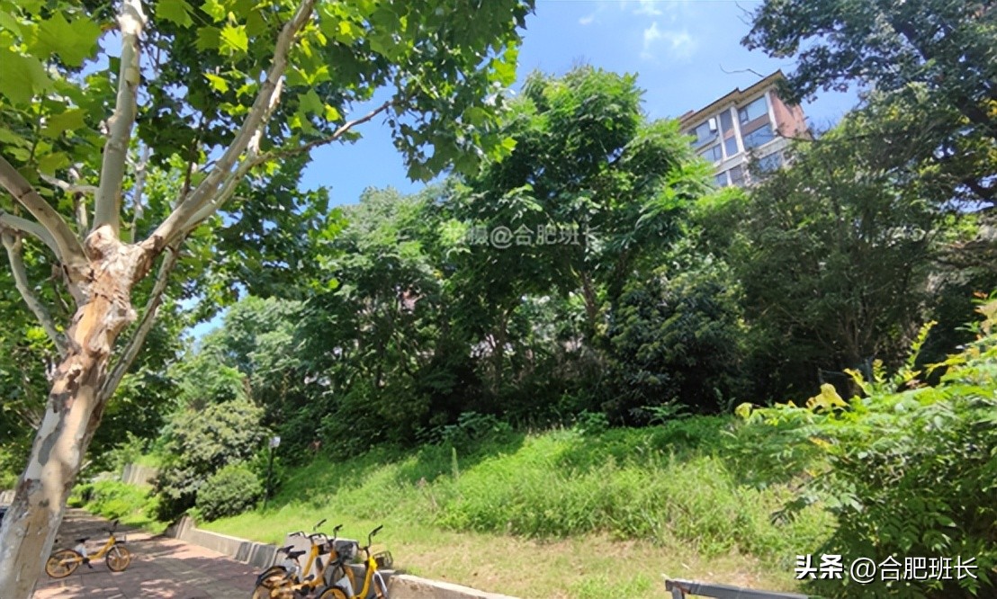 合肥保利西山林语洋房二手房,保利西山林语别墅值得买吗