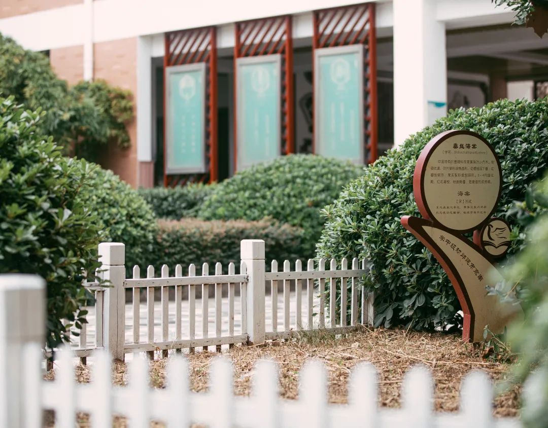 南京一中实验学校运动会,南京魅力校园人民中学运动会