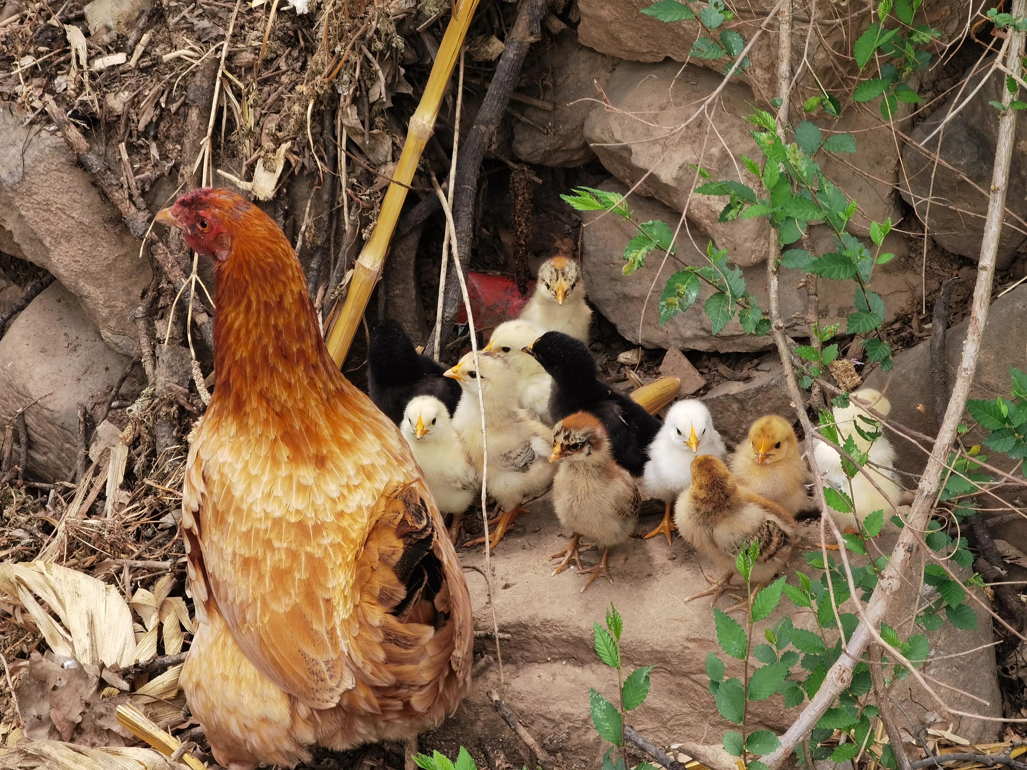 灵岩大佛山徒步,徒步灵岩山寺美篇