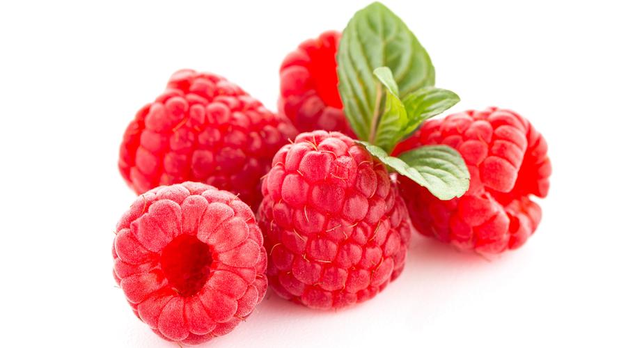 种植业什么最赚钱农村,农村种植创业成功的方法有哪些