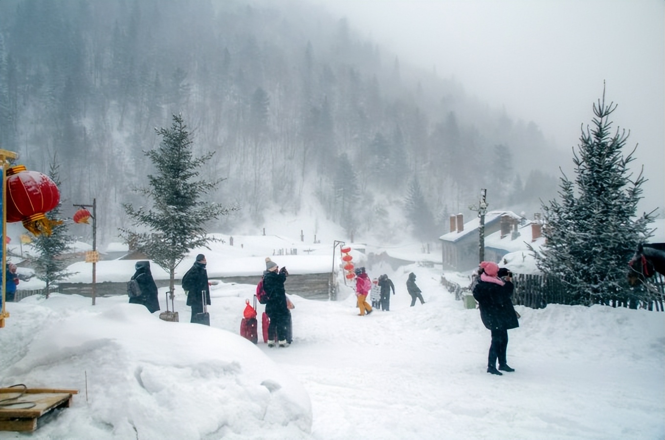 来自塔里木《塔河文苑》诗歌:北方南方冬天之猜想