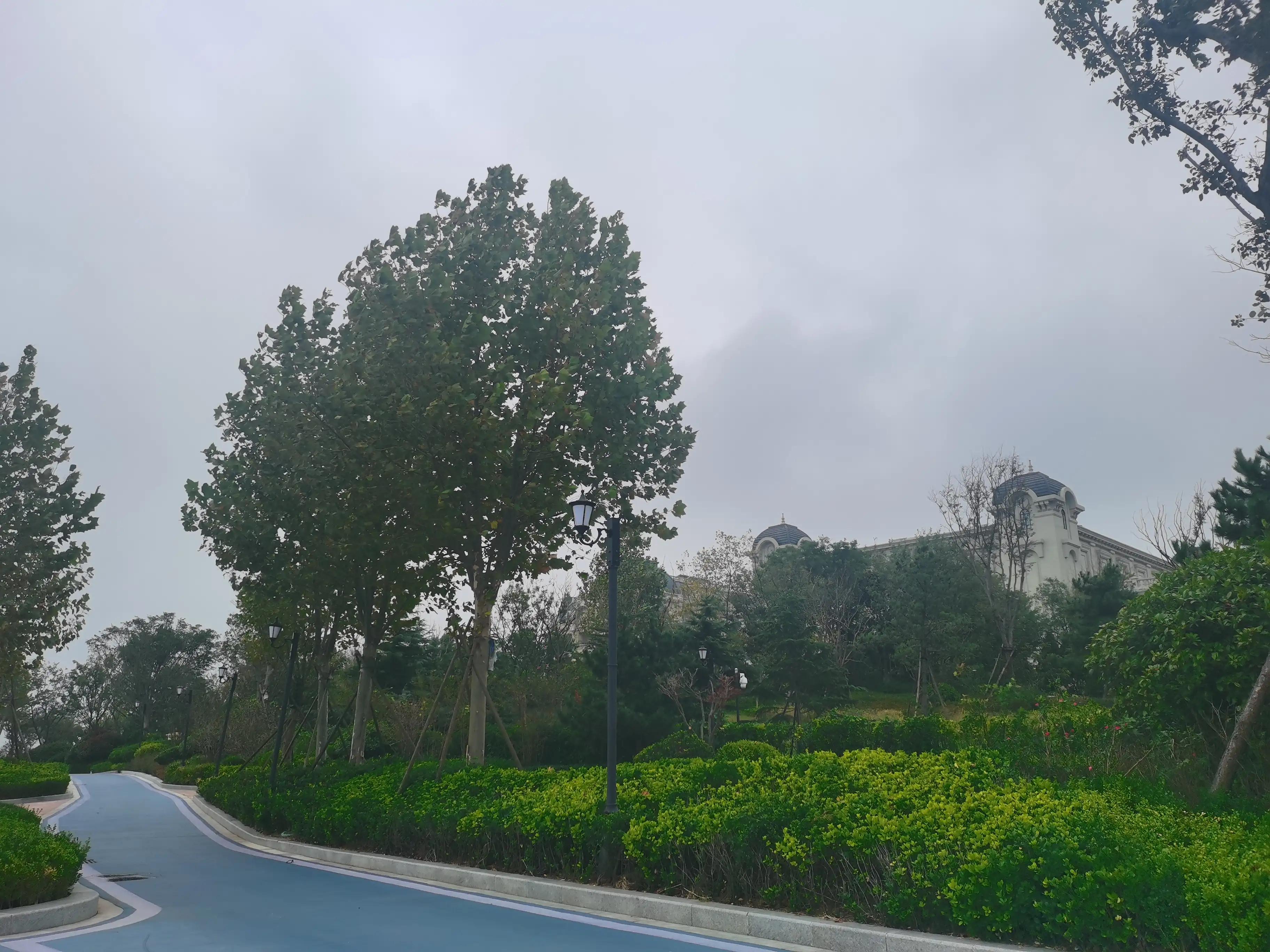 日照乳山市的房价,山东威海乳山房价未来前景