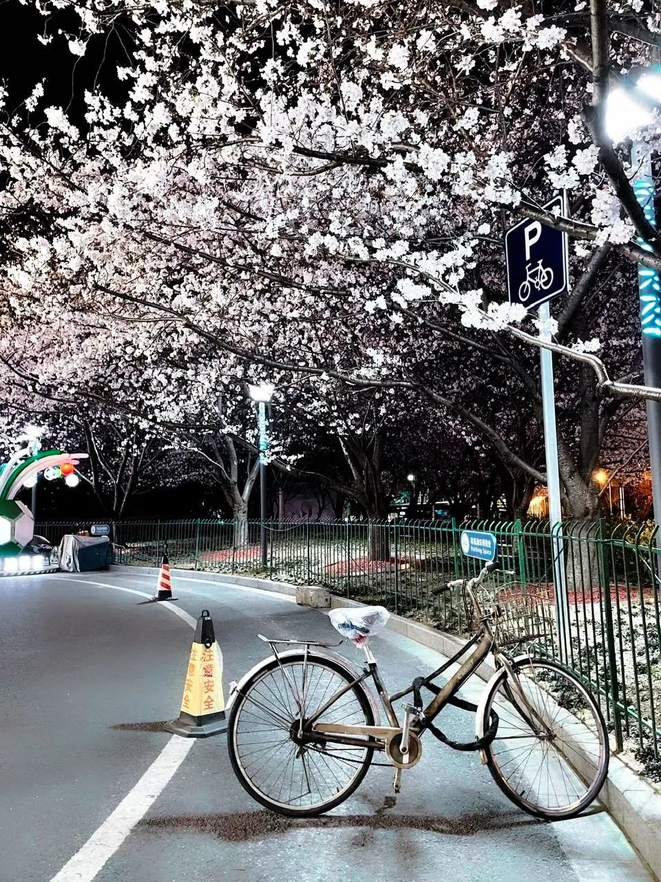 错过了一个秋天,错过了一个春秋